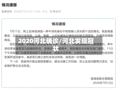 2020河北确诊/河北发现冠状-第2张图片