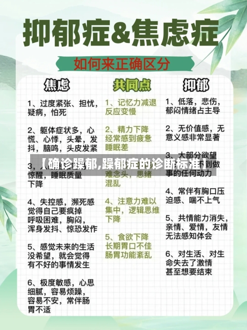 【确诊躁郁,躁郁症的诊断标准】-第3张图片