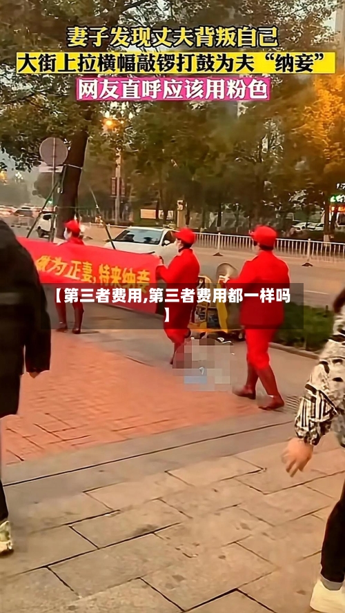 【第三者费用,第三者费用都一样吗】