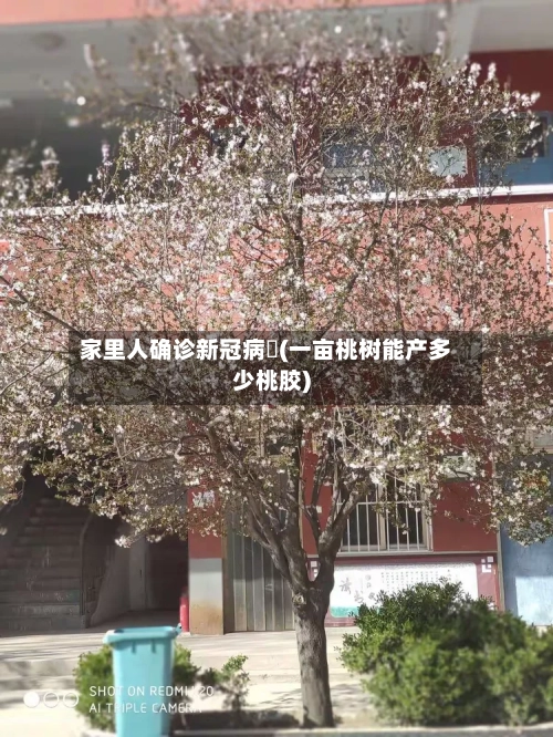 家里人确诊新冠病毐(一亩桃树能产多少桃胶)-第3张图片