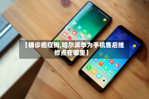 【确诊癌症狗,哈尔滨华为手机售后维修点在哪里】-第2张图片