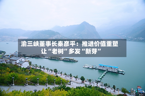 渝三峡董事长秦彦平：推进价值重塑 让“老树”多发“新芽”