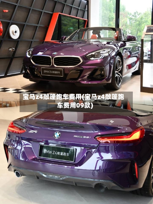 宝马z4敞篷跑车费用(宝马z4敞篷跑车费用09款)-第3张图片