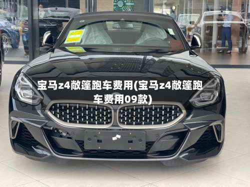 宝马z4敞篷跑车费用(宝马z4敞篷跑车费用09款)