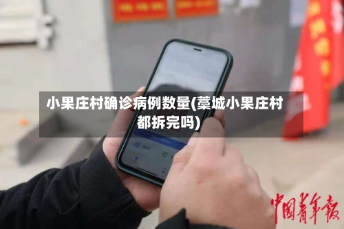 小果庄村确诊病例数量(藁城小果庄村都拆完吗)