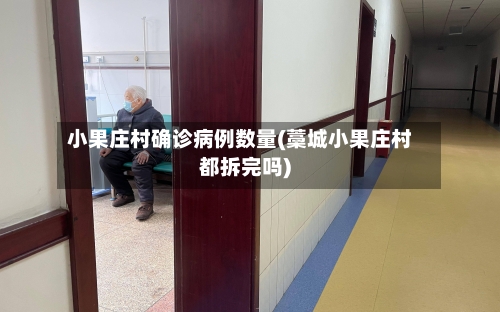 小果庄村确诊病例数量(藁城小果庄村都拆完吗)-第2张图片