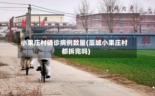 小果庄村确诊病例数量(藁城小果庄村都拆完吗)-第3张图片