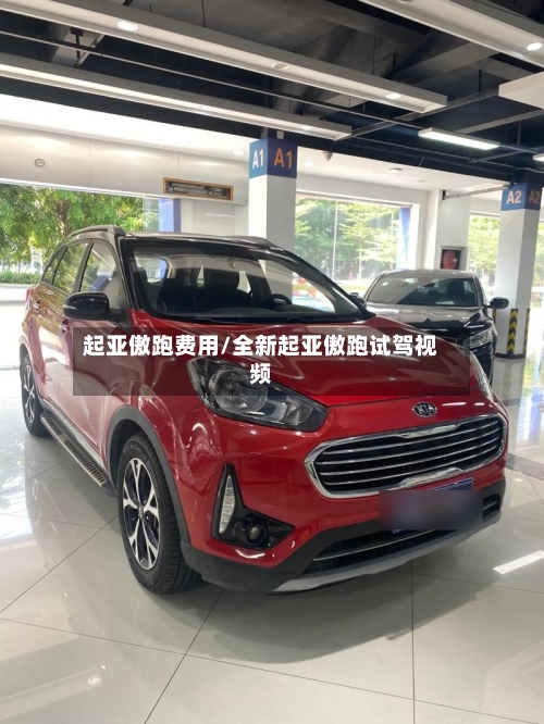 起亚傲跑费用/全新起亚傲跑试驾视频-第2张图片