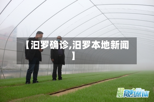 【汩罗确诊,汨罗本地新闻】-第3张图片