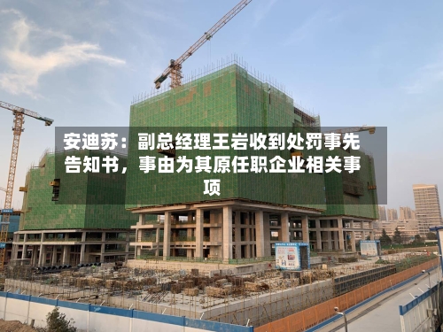 安迪苏：副总经理王岩收到处罚事先告知书，事由为其原任职企业相关事项