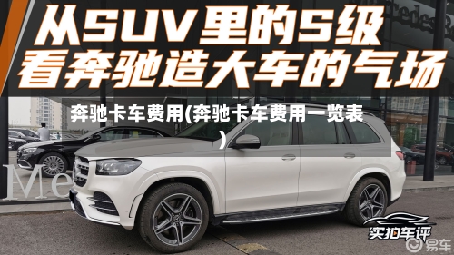 奔驰卡车费用(奔驰卡车费用一览表)-第3张图片