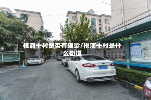 桃浦十村是否有确诊/桃浦十村是什么街道-第2张图片