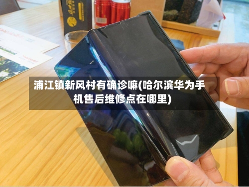 浦江镇新风村有确诊嘛(哈尔滨华为手机售后维修点在哪里)-第2张图片