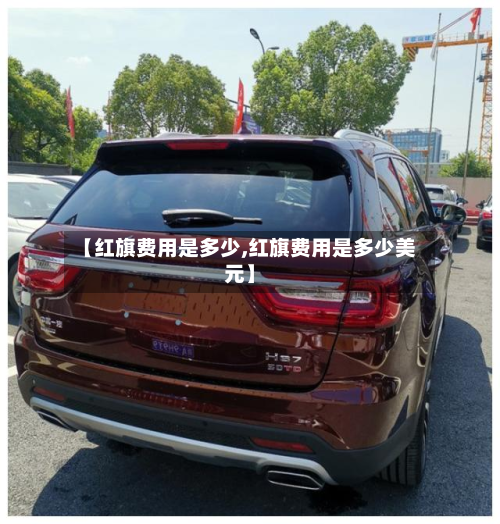 【红旗费用是多少,红旗费用是多少美元】-第3张图片