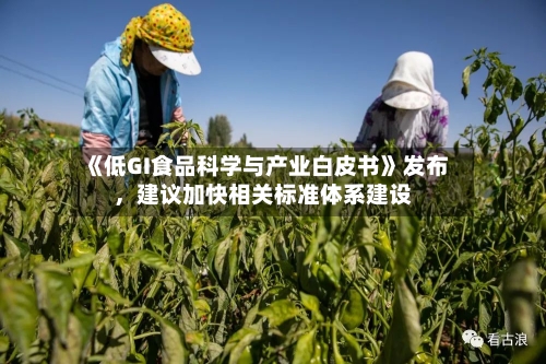 《低GI食品科学与产业白皮书》发布，建议加快相关标准体系建设