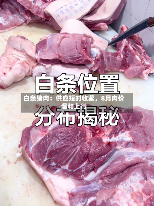 白条猪肉：供应短时收紧	，8月肉价温和上行-第1张图片