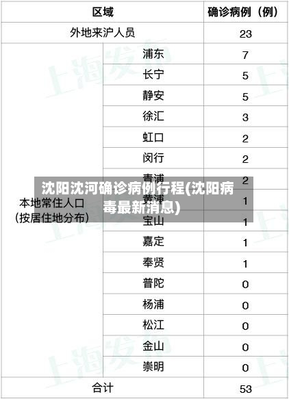 沈阳沈河确诊病例行程(沈阳病毒最新消息)-第1张图片
