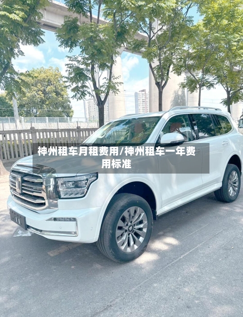 神州租车月租费用/神州租车一年费用标准-第2张图片