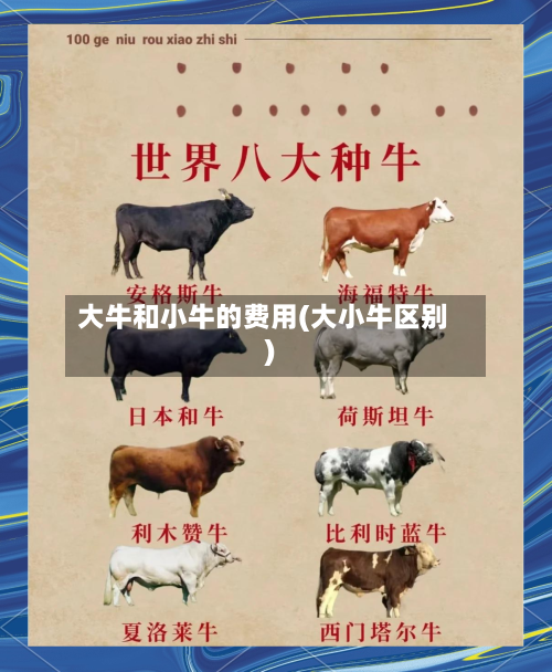 大牛和小牛的费用(大小牛区别)