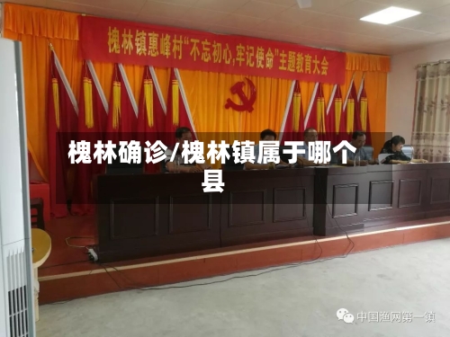 槐林确诊/槐林镇属于哪个县-第2张图片