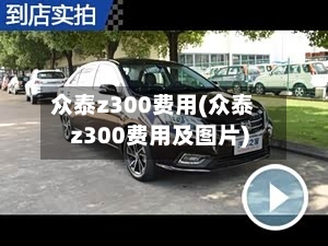 众泰z300费用(众泰z300费用及图片)-第3张图片