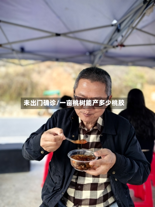 未出门确诊/一亩桃树能产多少桃胶-第2张图片