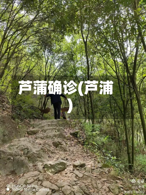 芦蒲确诊(芦浦)-第2张图片