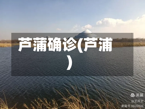 芦蒲确诊(芦浦)