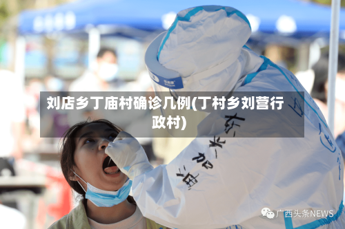 刘店乡丁庙村确诊几例(丁村乡刘营行政村)-第2张图片