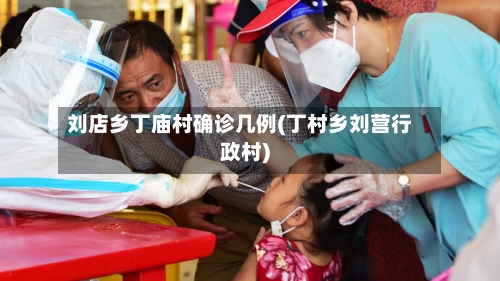 刘店乡丁庙村确诊几例(丁村乡刘营行政村)