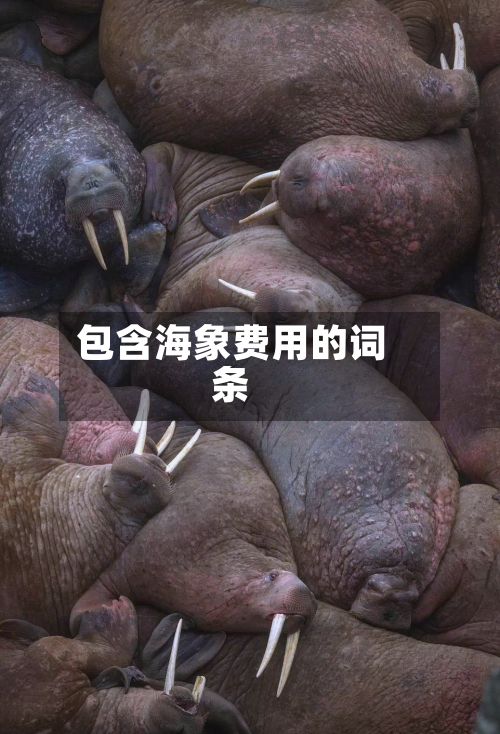 包含海象费用的词条-第2张图片