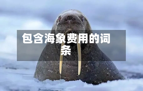 包含海象费用的词条-第3张图片