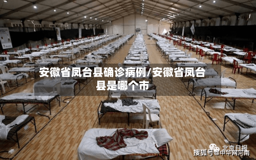 安徽省凤台县确诊病例/安徽省凤台县是哪个市-第2张图片