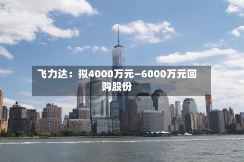 飞力达:拟4000万元—6000万元回购股份-第2张图片