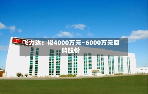 飞力达：拟4000万元—6000万元回购股份