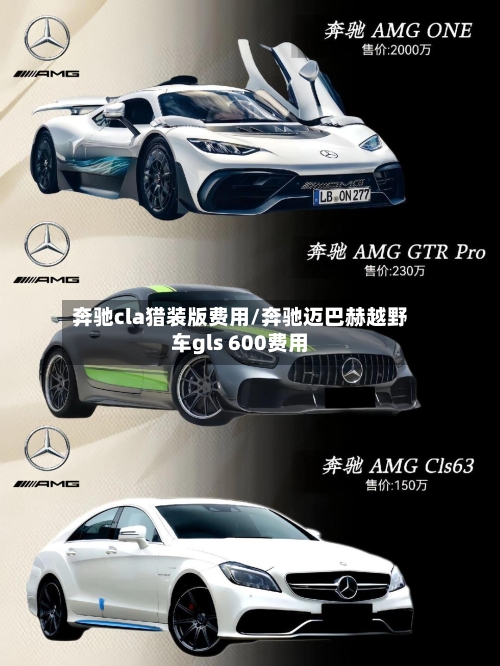 奔驰cla猎装版费用/奔驰迈巴赫越野车gls 600费用