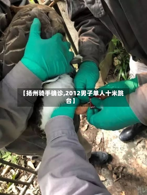 【扬州骑手确诊,2012男子单人十米跳台】-第2张图片
