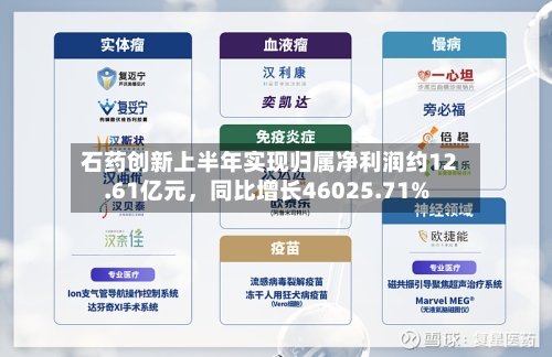 石药创新上半年实现归属净利润约12.61亿元，同比增长46025.71%-第2张图片