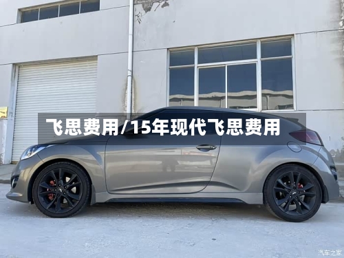 飞思费用/15年现代飞思费用-第2张图片
