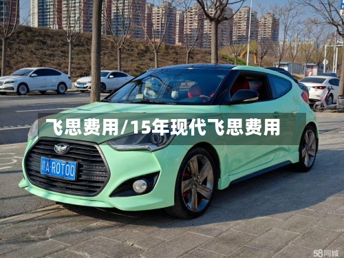 飞思费用/15年现代飞思费用-第3张图片