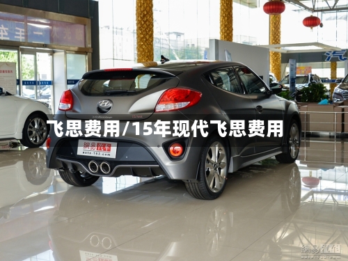 飞思费用/15年现代飞思费用