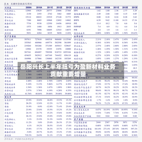 岳阳兴长上半年扭亏为盈新材料业务贡献重要增量-第2张图片