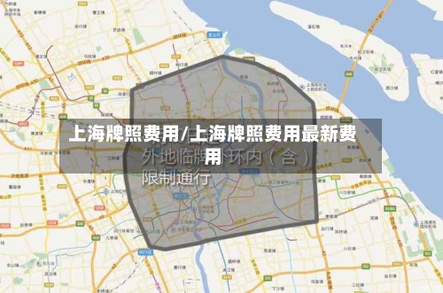 上海牌照费用/上海牌照费用最新费用-第2张图片
