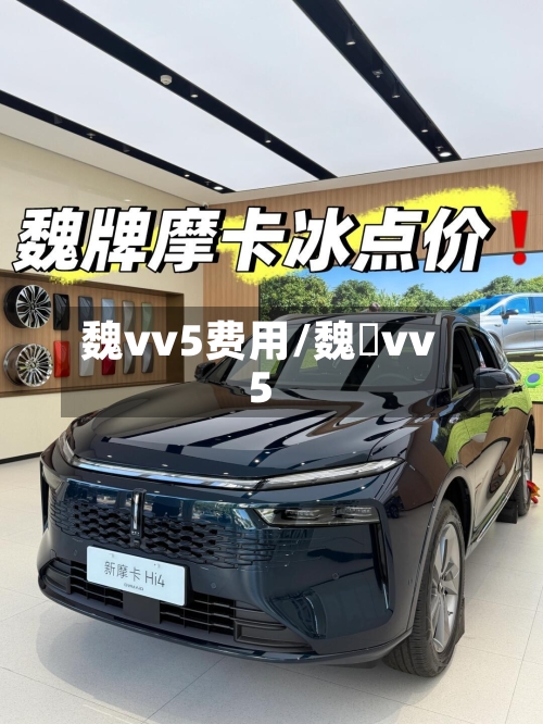 魏vv5费用/魏汳vv5