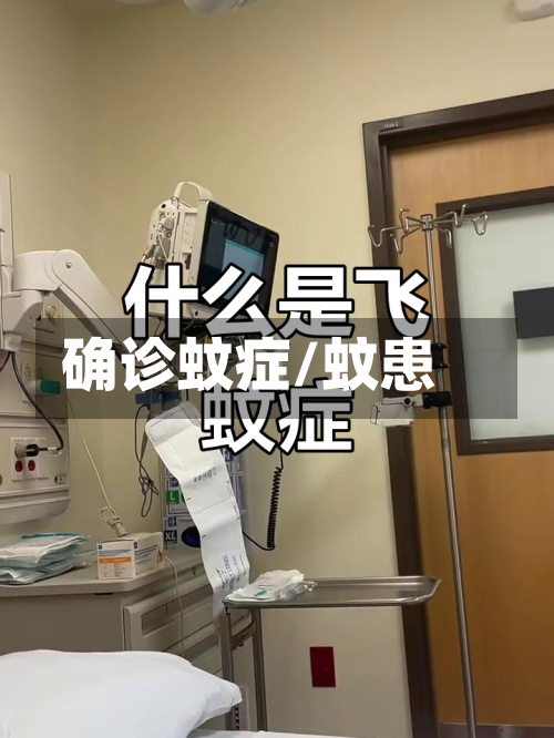 确诊蚊症/蚊患-第3张图片