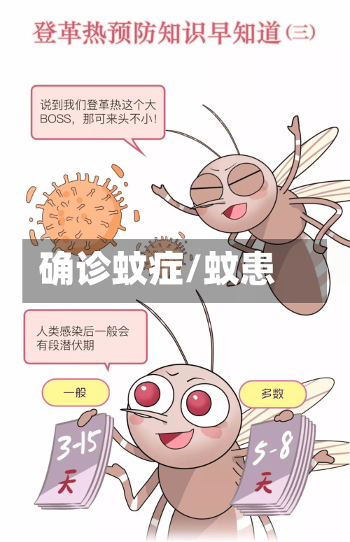 确诊蚊症/蚊患