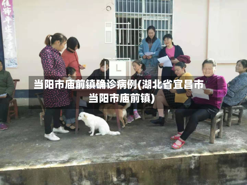 当阳市庙前镇确诊病例(湖北省宜昌市当阳市庙前镇)