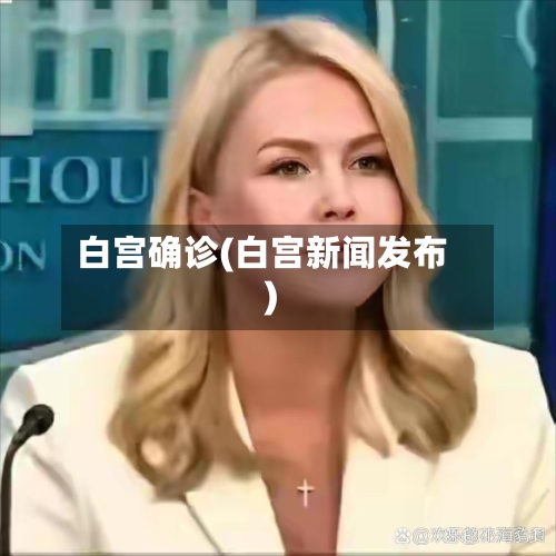 白宫确诊(白宫新闻发布)-第3张图片