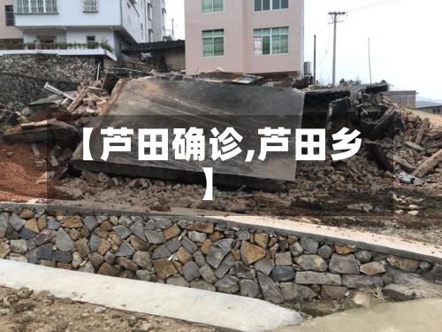 【芦田确诊,芦田乡】