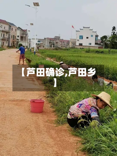【芦田确诊,芦田乡】-第3张图片